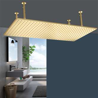 Vicenza 20x40in Polished Gold Shower Head