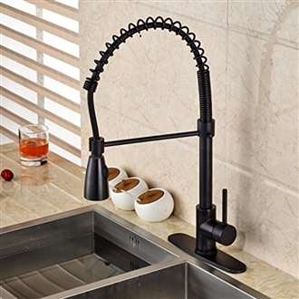 Tindouf Oil Rubbed Bronze Kitchen Sink Faucet with Pull Down Sprayer