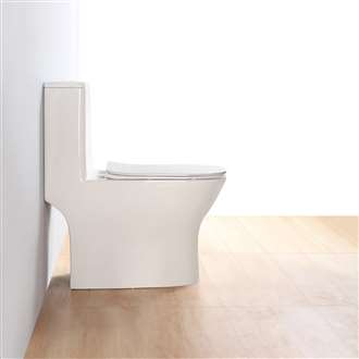 Fontana Matera Commercial Smart Toilet